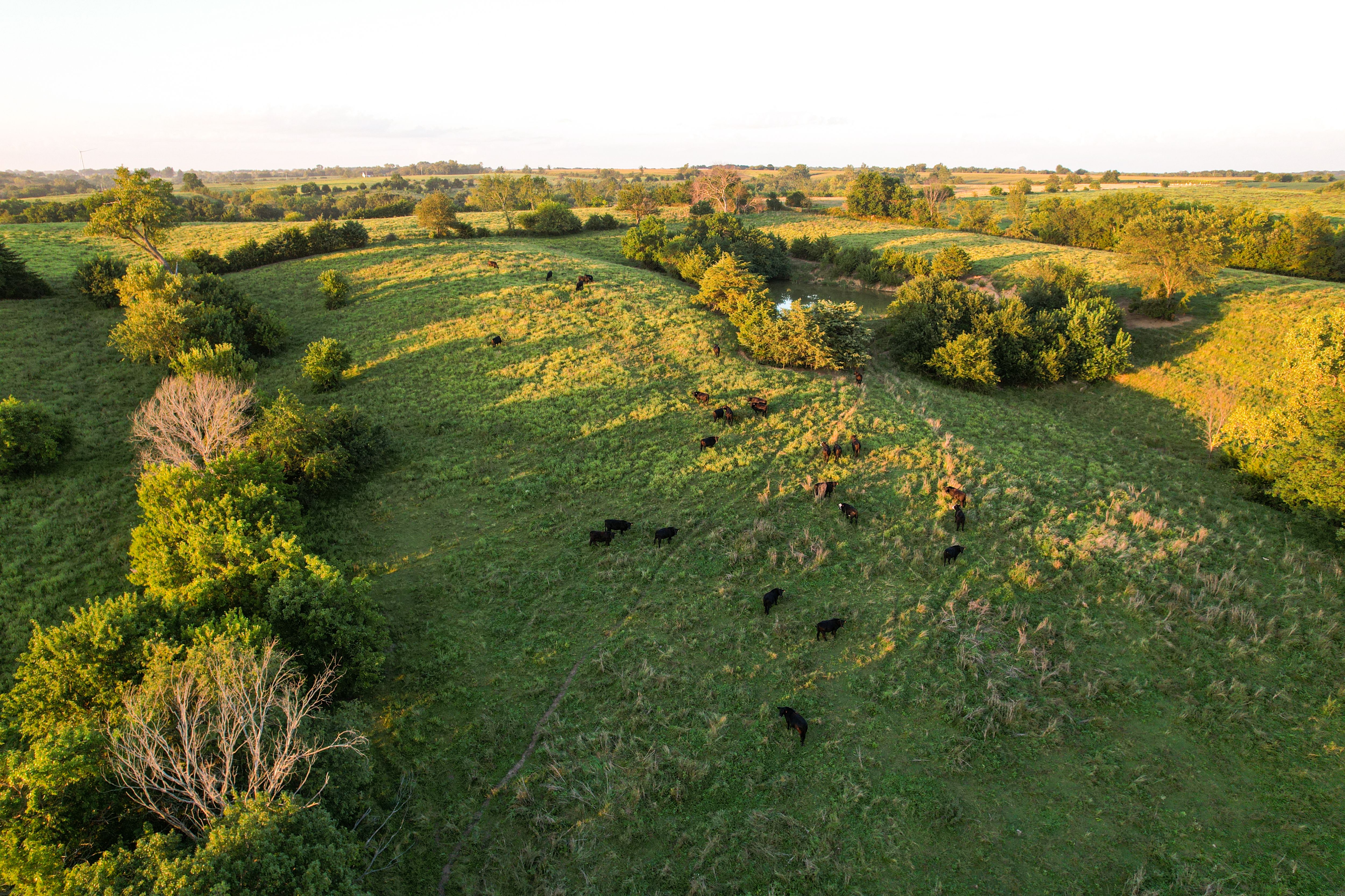 Listing Photo: Photo Aug 20 2025, 7 36 12 PM